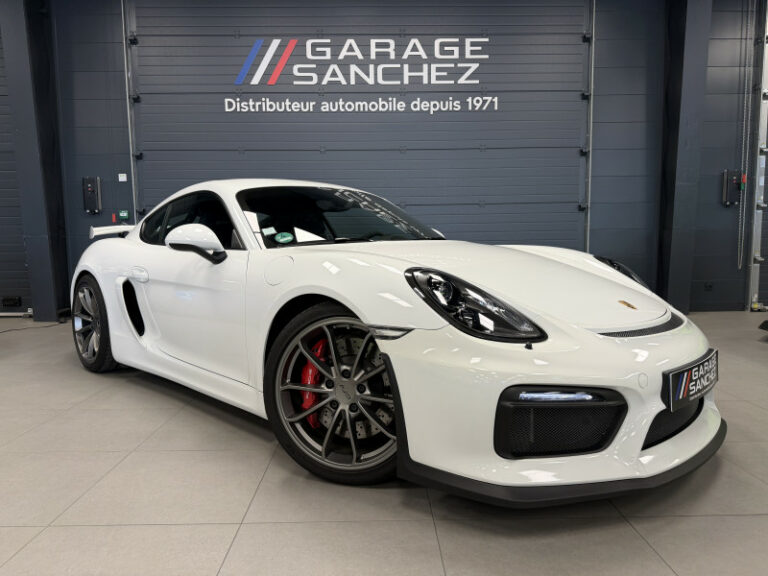 Porsche CAYMAN (981) GT4 (vendue)