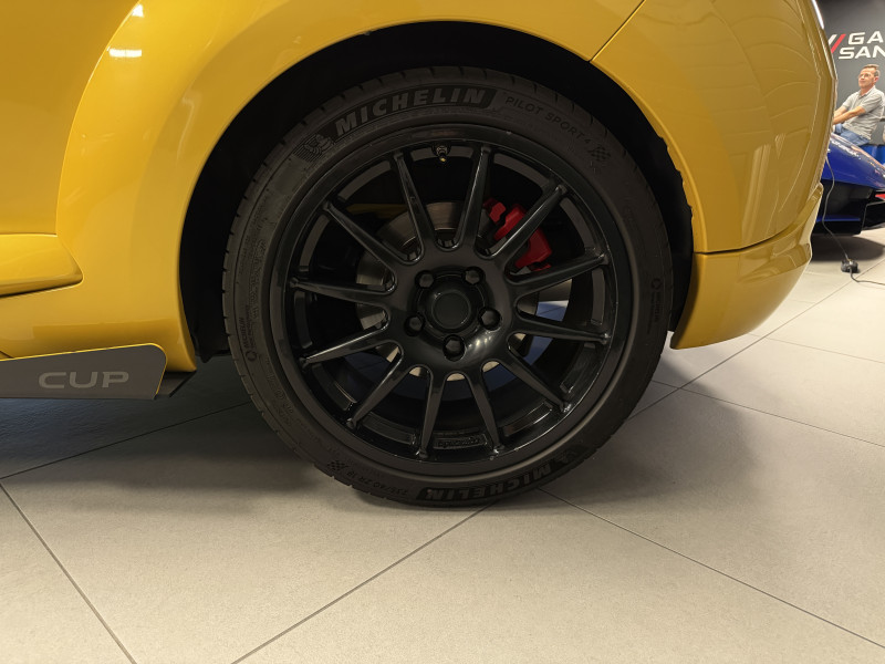 Renault MEGANE III COUPE RS CUP — photo 13
